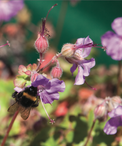 Informations et contact