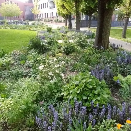 Aménagement paysager d'un Ehpad parisien