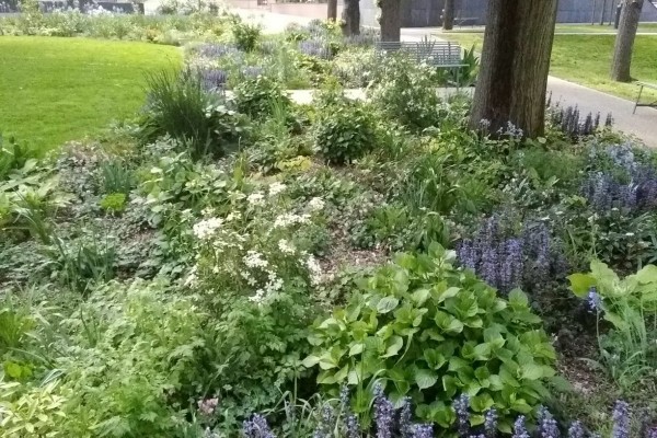 Aménagement paysager d'un Ehpad parisien