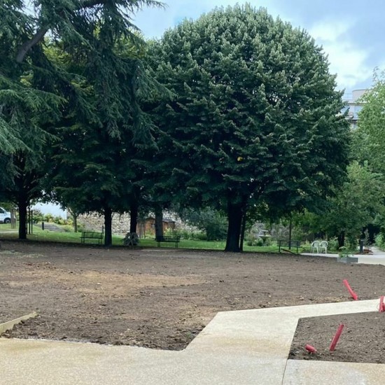 Aménagement paysager d'un Ehpad parisien