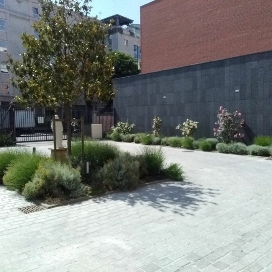 Aménagement paysager d'un Ehpad parisien