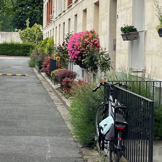 Gestion écologique d'une résidence à Montrouge