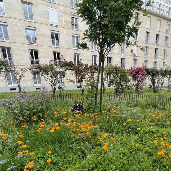 Gestion écologique d'une résidence à Montrouge