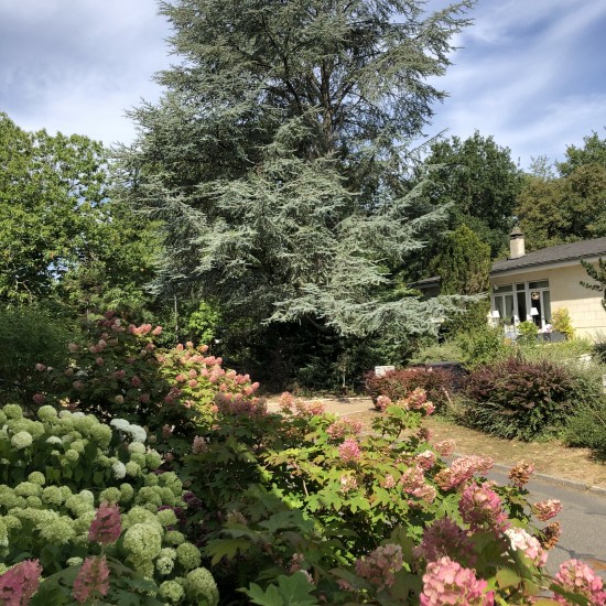 Résidence à Etiolles