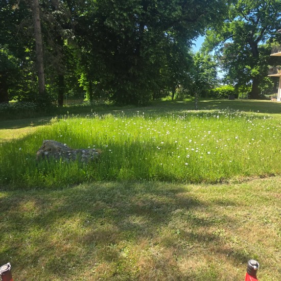 Résidence à Etiolles