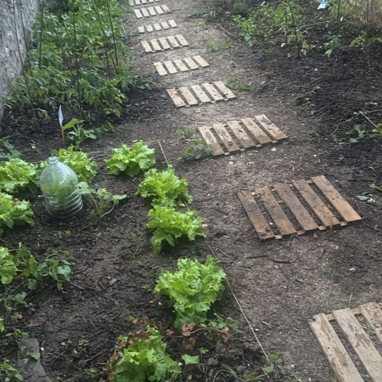 Résidence à Etiolles