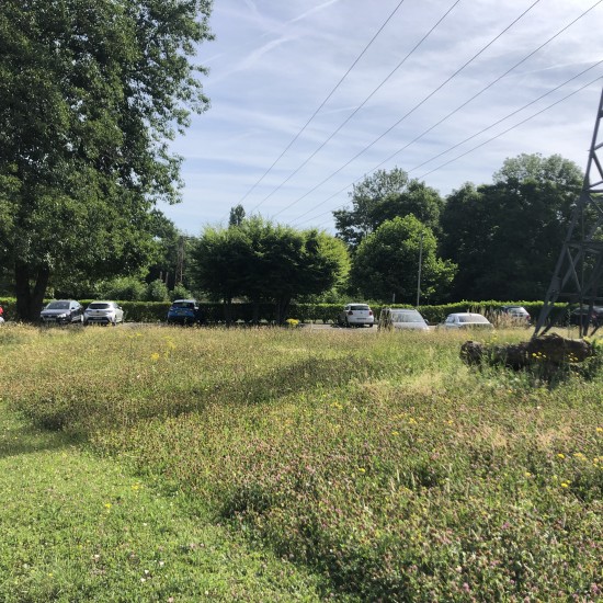 Prairies, zones de biodiversité, valorisation sur place des déchets