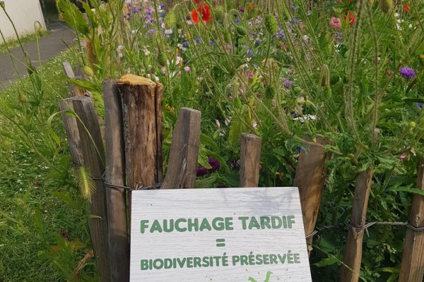 Prairies, zones de biodiversité, valorisation sur place des déchets