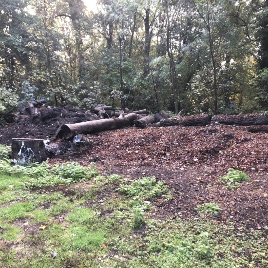 Prairies, zones de biodiversité, valorisation sur place des déchets