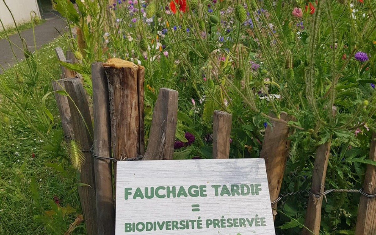 Prairies, zones de biodiversité, valorisation sur place des déchets