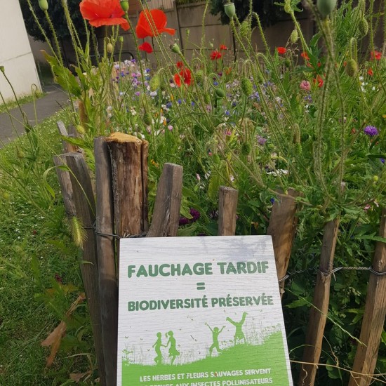 Prairies, zones de biodiversité, valorisation sur place des déchets