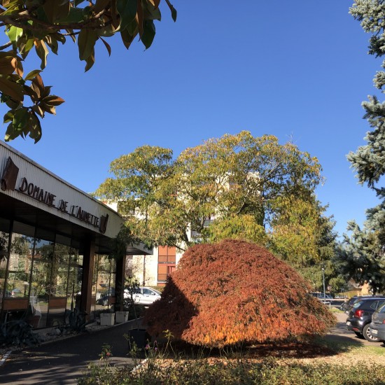 Résidence à Ris Orangis