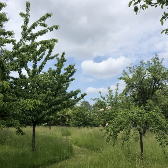 Musée Rodin de Meudon (Gestion différenciée)