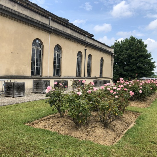 Musée Rodin de Meudon (Gestion différenciée)