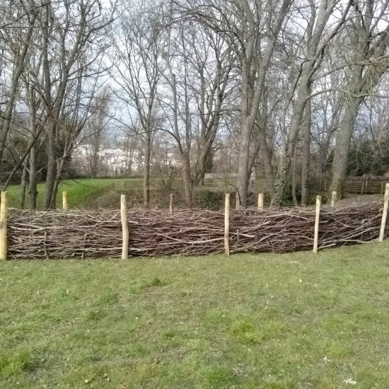 Musée Rodin de Meudon (Gestion différenciée)