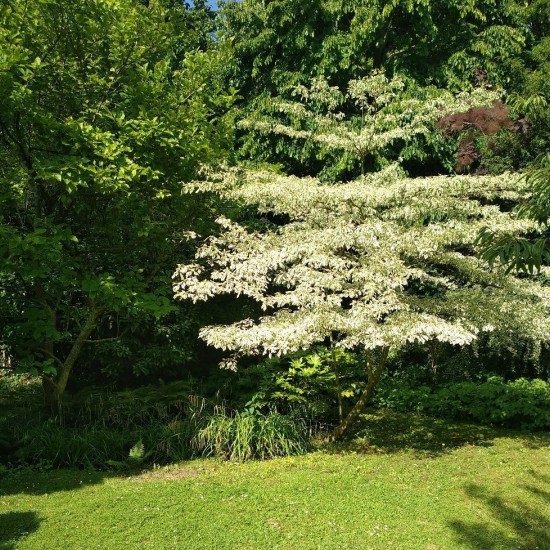 Hotel de Massa (Paris 14ème)