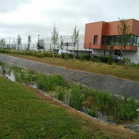 Végétalisation d'un site logistique avec noue de rétention des eaux de pluie