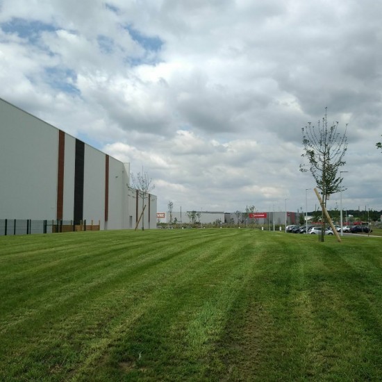 Végétalisation d'un site logistique avec noue de rétention des eaux de pluie