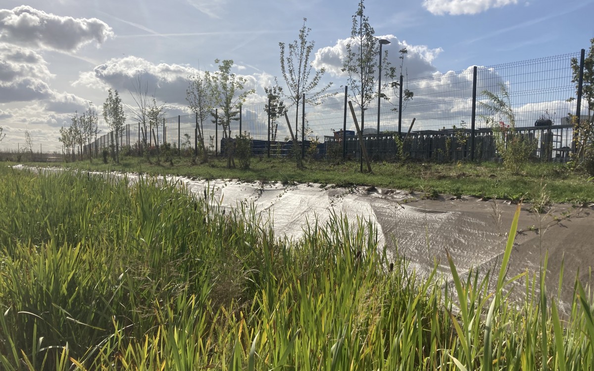 Végétalisation d'un site logistique avec noue de rétention des eaux de pluie