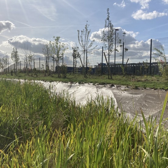 Végétalisation d'un site logistique avec noue de rétention des eaux de pluie