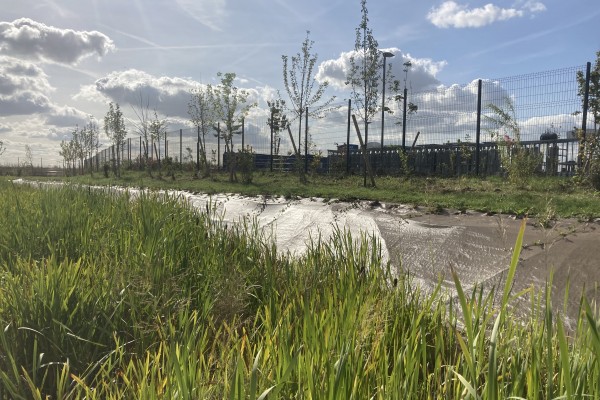 Végétalisation d'un site logistique avec noue de rétention des eaux de pluie