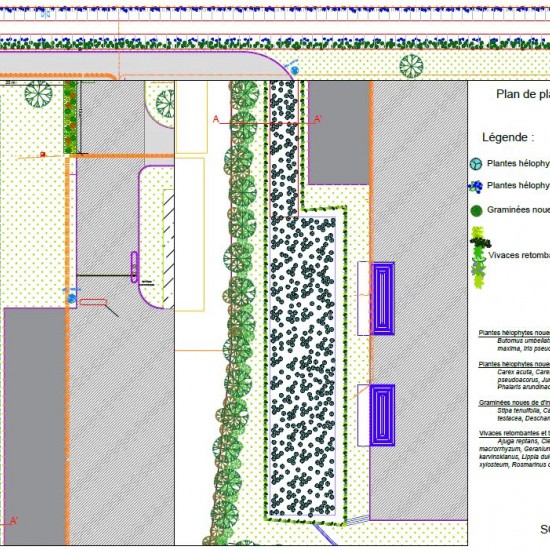 Végétalisation d'un site logistique avec noue de rétention des eaux de pluie