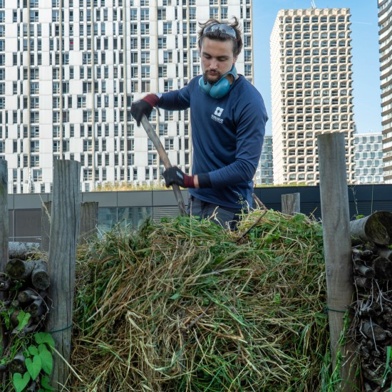 Zone de biodiversité sur un toit-terrasse parisien