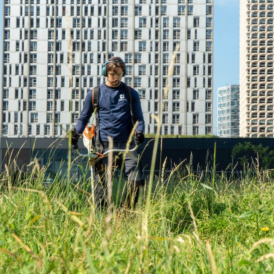 Zone de biodiversité sur un toit-terrasse parisien