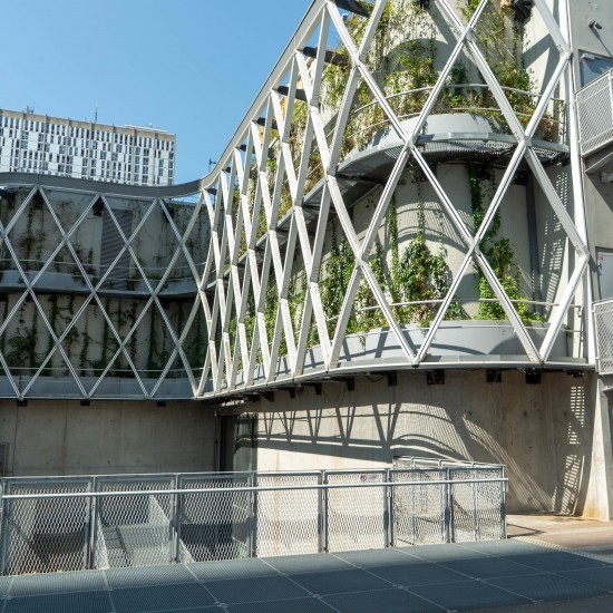 Zone de biodiversité sur un toit-terrasse parisien