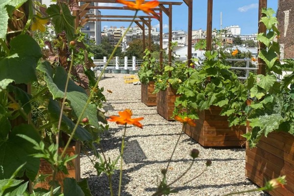 Agriculture urbaine et ateliers pédagogiques