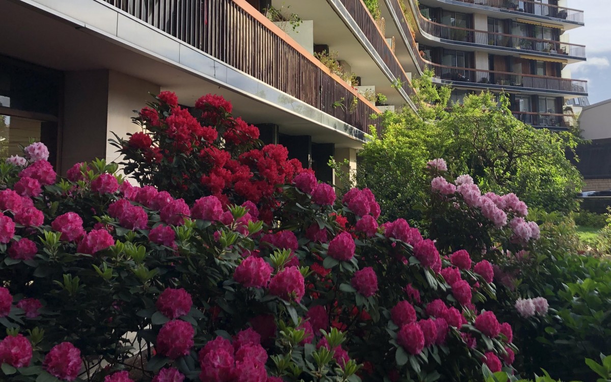 Entretien de parcs et jardins, gestion différenciée