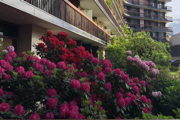 Entretien de parcs et jardins, gestion différenciée